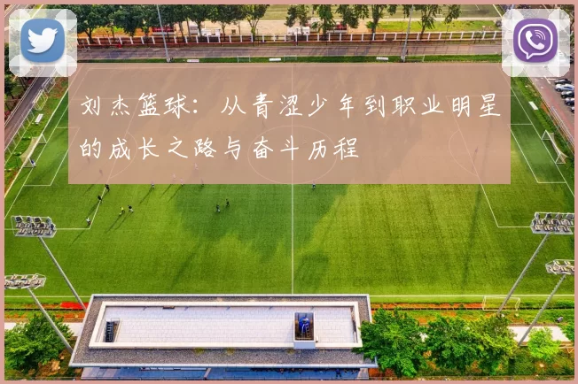 刘杰篮球：从青涩少年到职业明星的成长之路与奋斗历程