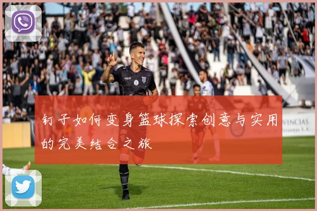 钉子如何变身篮球探索创意与实用的完美结合之旅