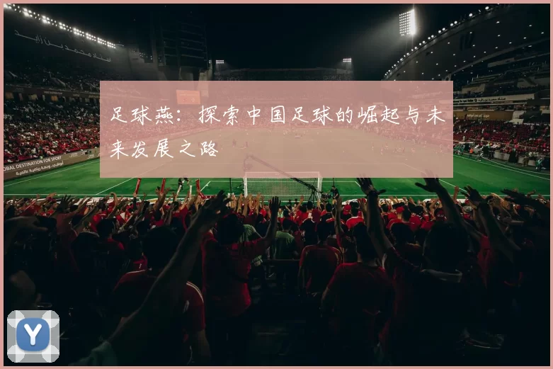 足球燕：探索中国足球的崛起与未来发展之路