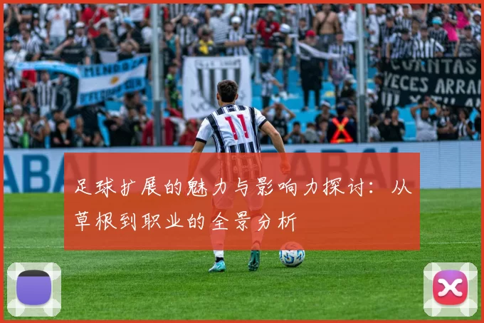 足球扩展的魅力与影响力探讨：从草根到职业的全景分析