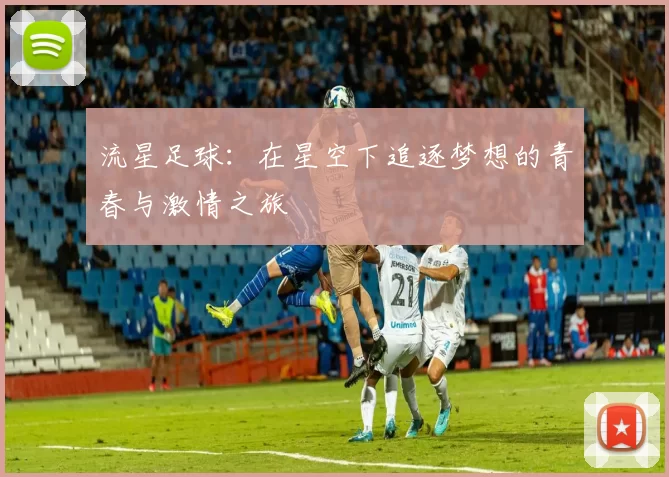 流星足球：在星空下追逐梦想的青春与激情之旅